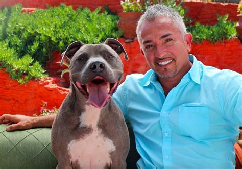 cesar millan net worth